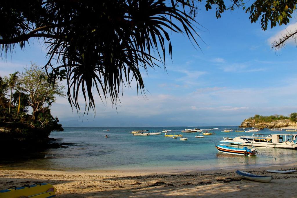 Molamola House Otel Lembongan Oda fotoğraf